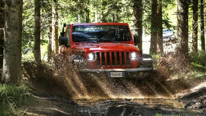 Jeep Wrangler mud splash