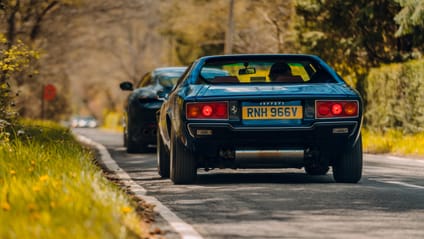 Ferrari 308 GT4 and Roma