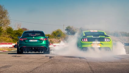 Mustang burnout