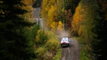 Rally Finland forest stage