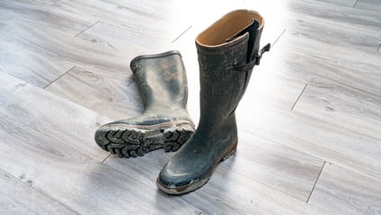 Aigle Wellies