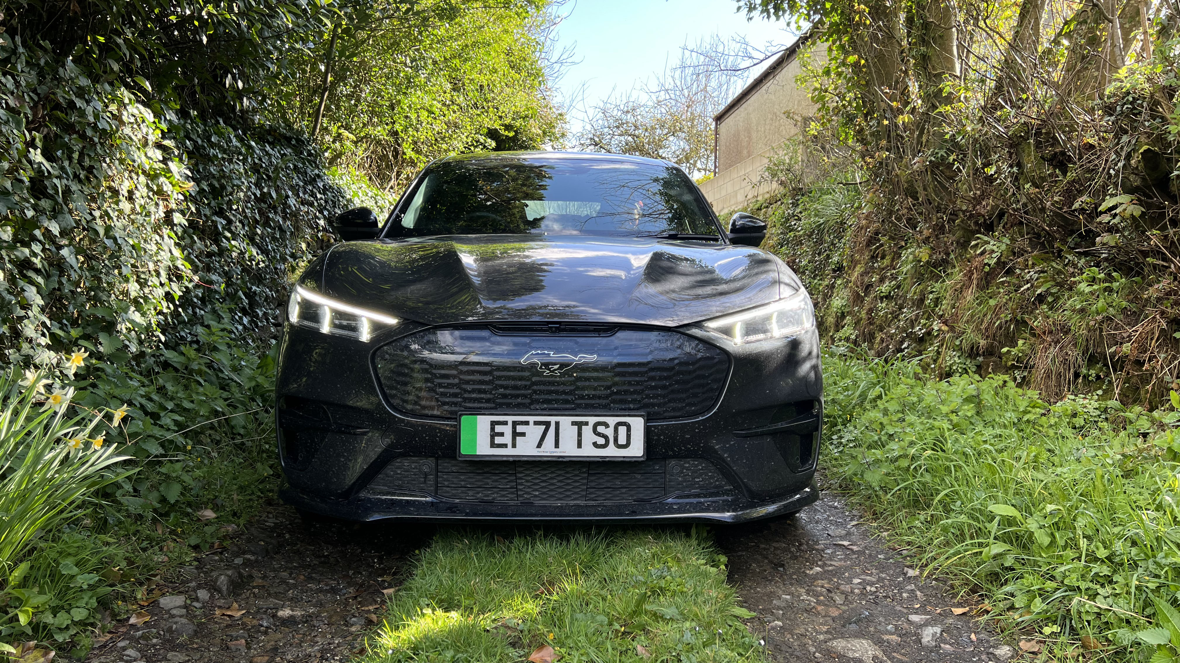 Ford Mustang Mach-E Extended Range AWD – long-term review 