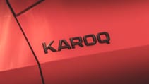 Skoda Karoq badge