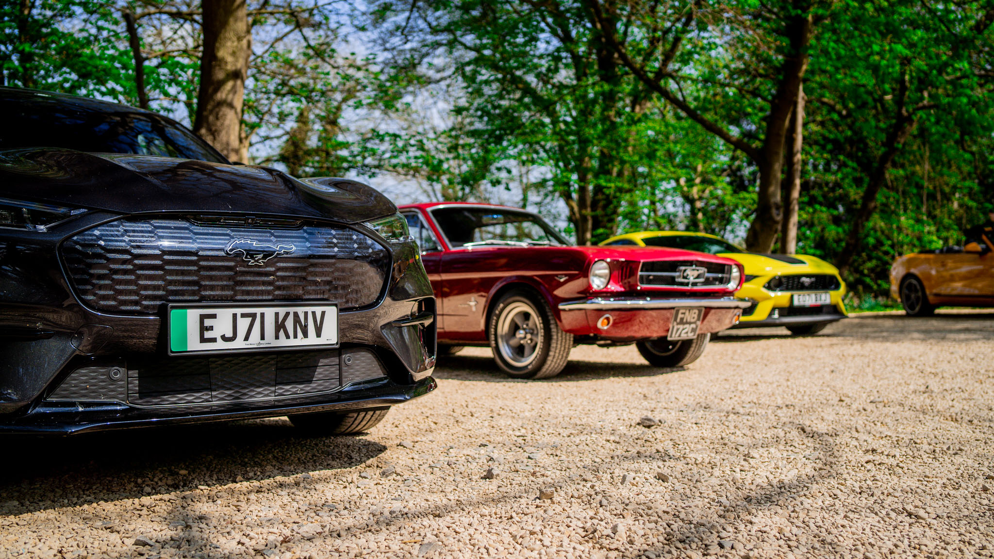 Ford Mustang Mach-E