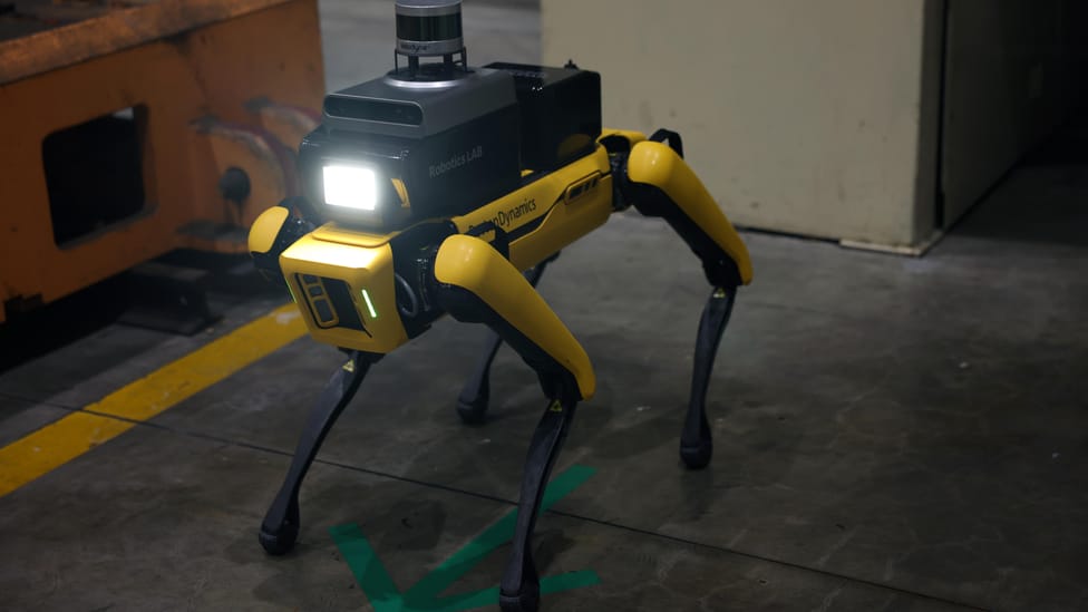 Robot dog