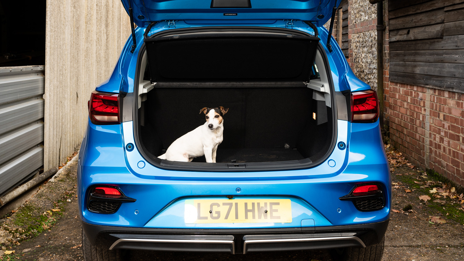 MG ZS EV boot view with dog inside