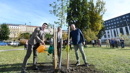 Buy a Skoda, get one tree