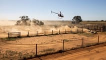 Daniel Ricciardo Red Bull F1 car vs Outback