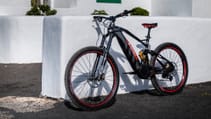 Audi e-bike