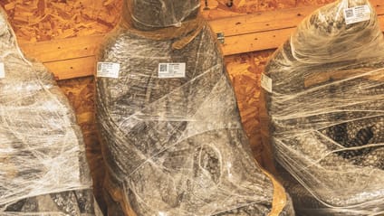 Secondhand car seats wrapped in cellophane, ready to be shipped