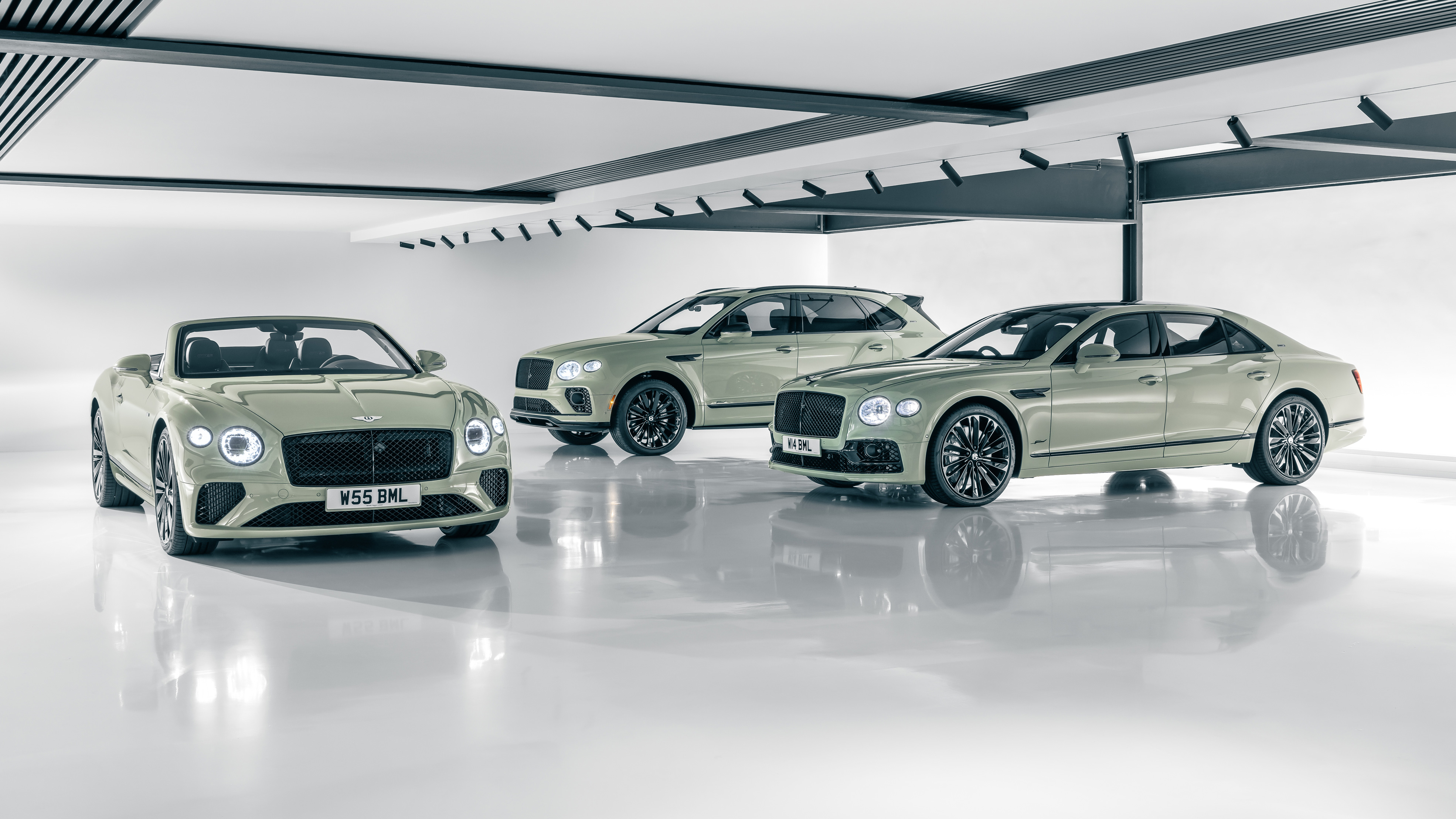 Bentley Speed Edition 12 group