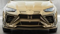 Mansory Venatus front