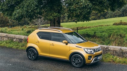 Dynamic shot of Suzuki Ignis with verdant backdrop