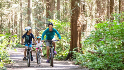 Three people cycling on a woodland path