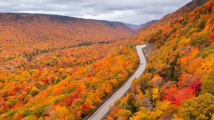 A highway running through Cape Breton Highlands National Park