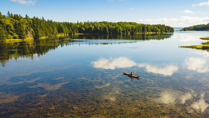 A canoeist on a shallow lake in Nova Scotia