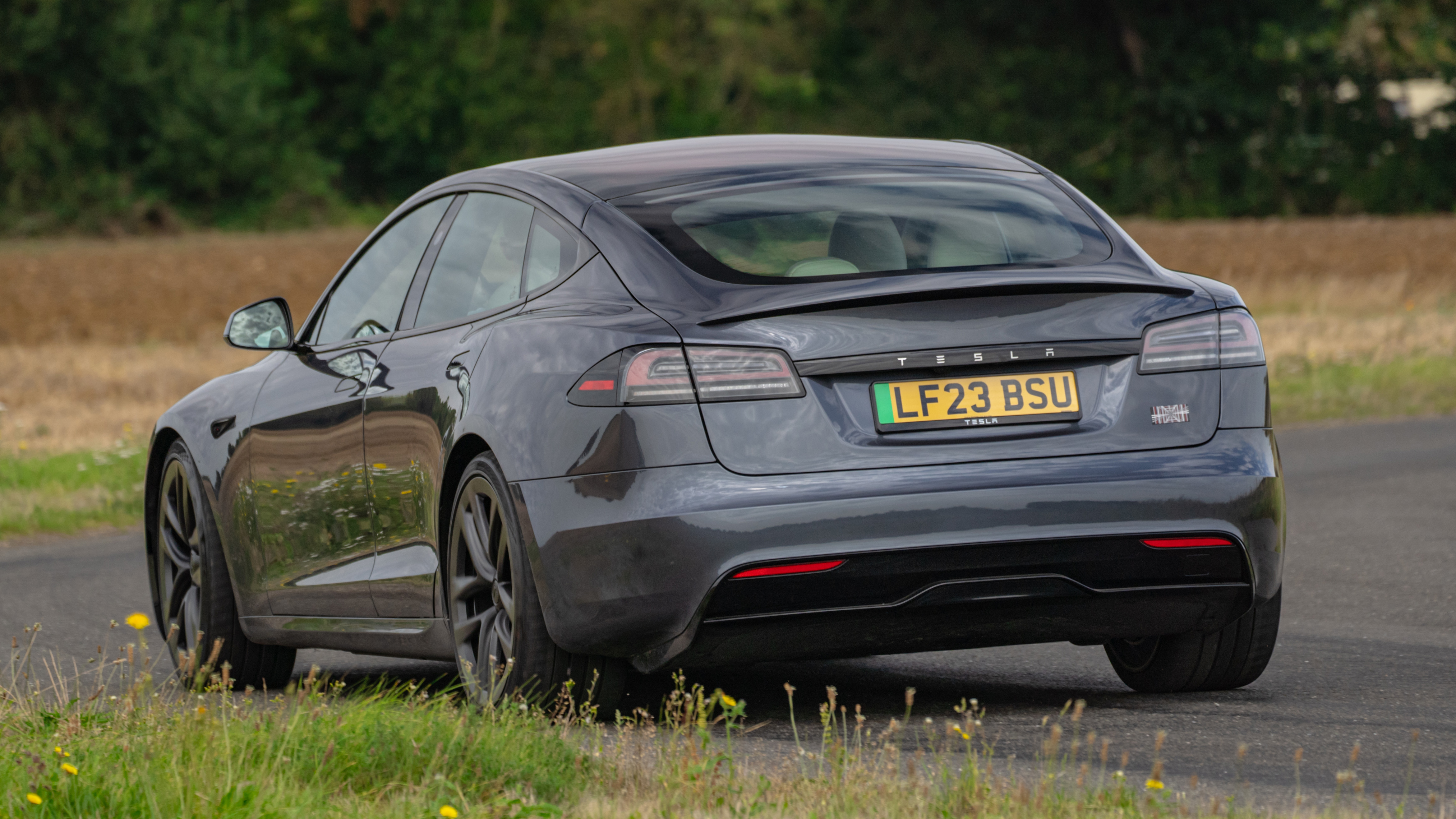 Tesla Model S rear