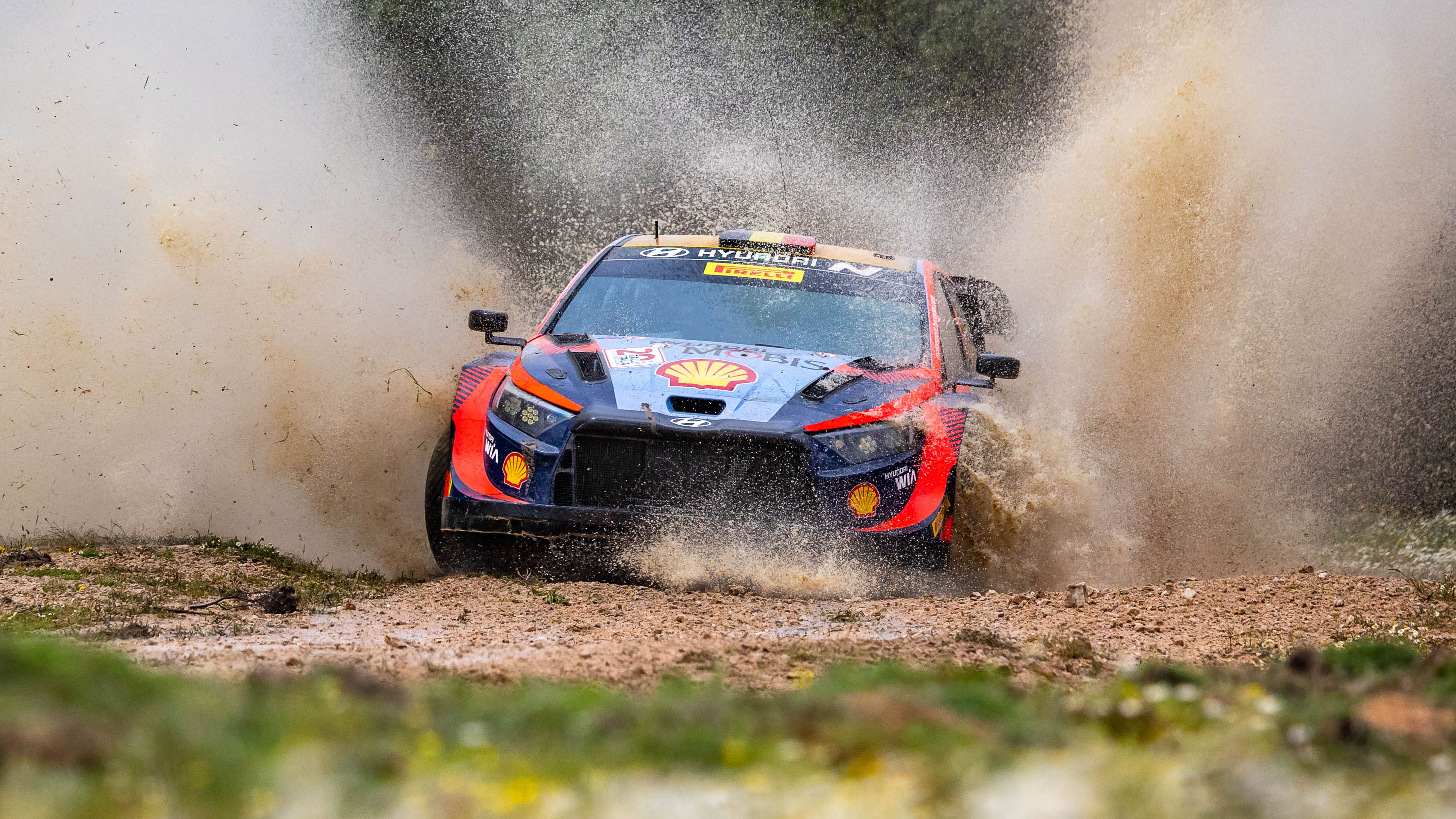 WRC ditching hybrids