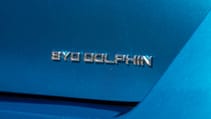 BYD Dolphin badge