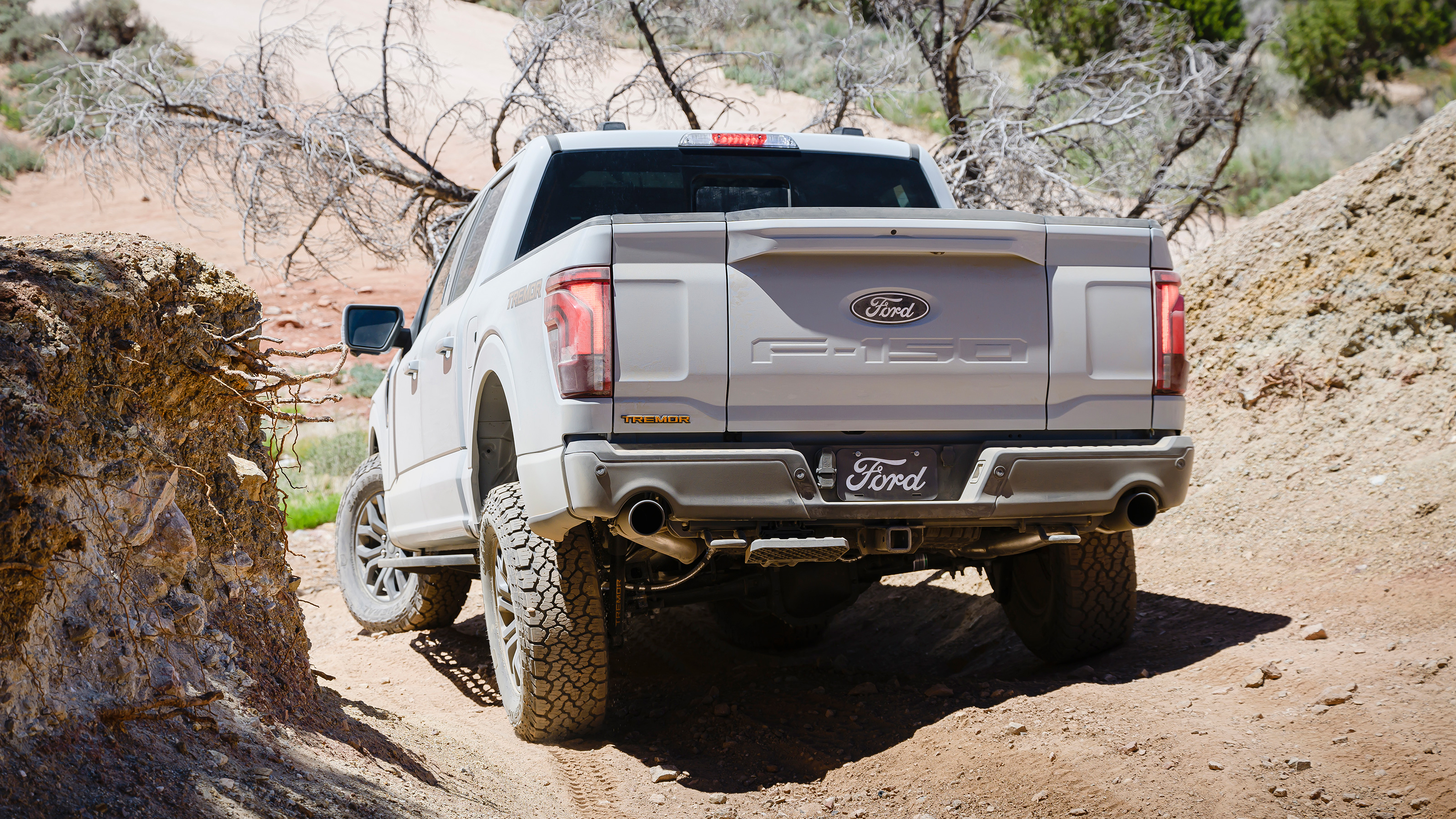 Ford F-150 (US) rear