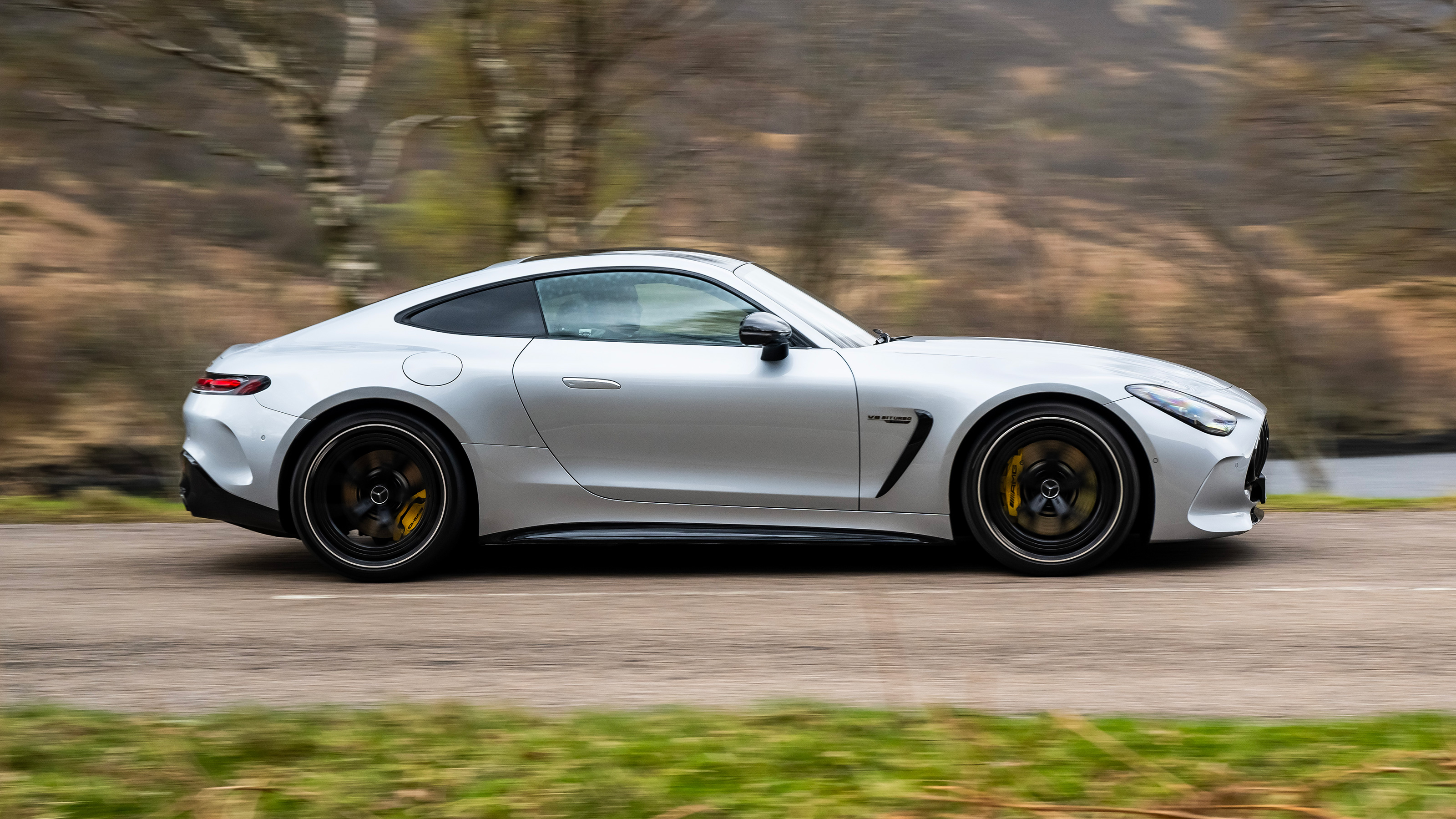 Mercedes-AMG GT profile