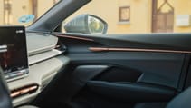 Cupra Terramar door detail