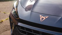 Cupra Terramar badge