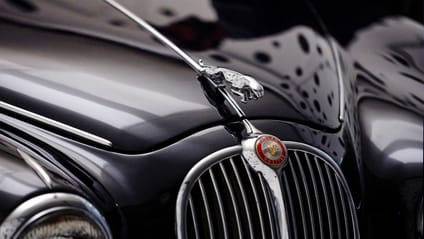 Jaguar Leaper