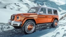 Carlex G63 Fern Vintage