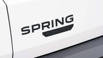 Dacia Spring Cargo