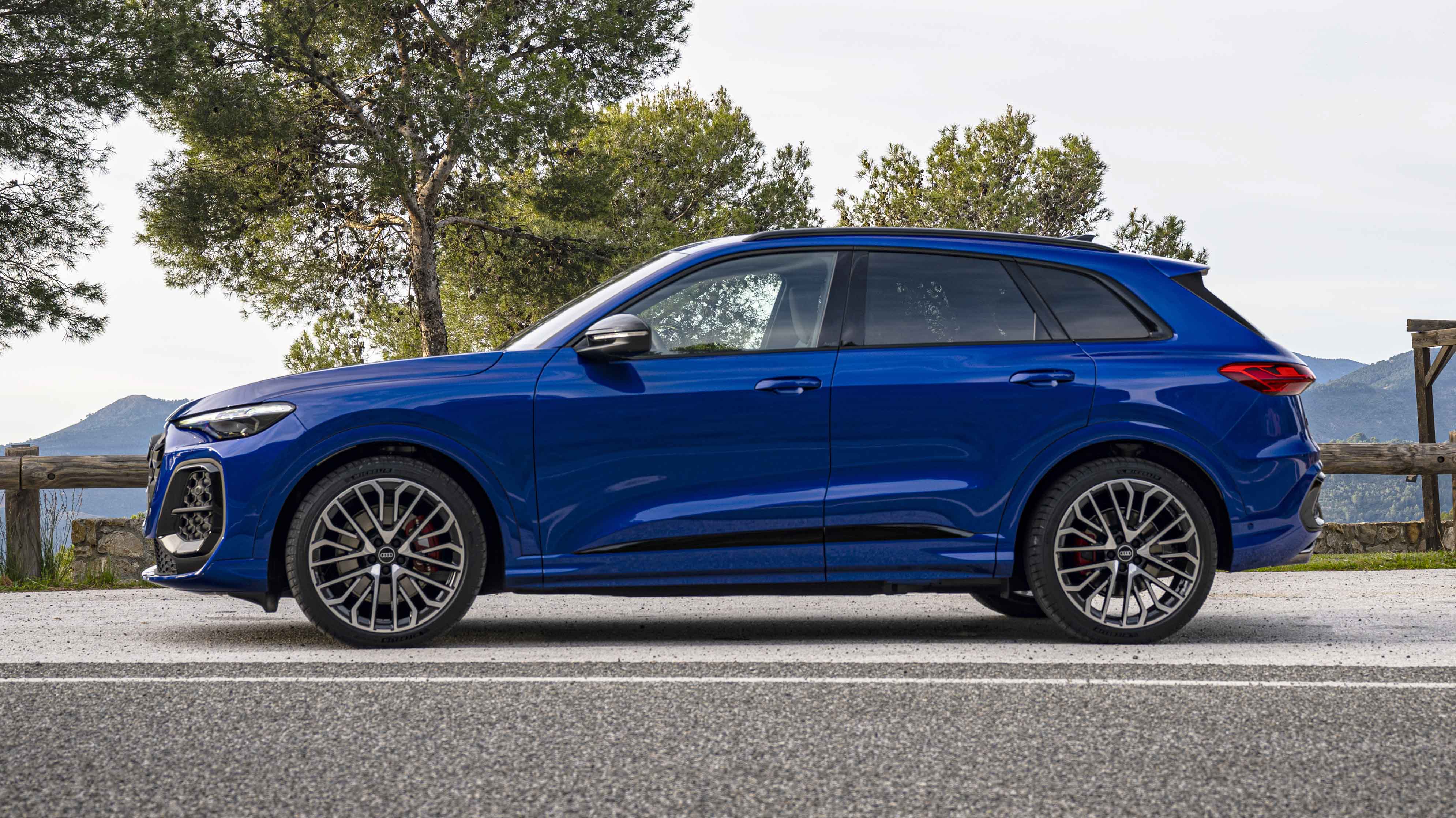 Audi SQ5 exterior side static