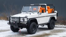 Expedition Motor Company 250GD Wolf front