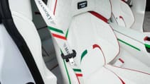 Pugnator Tricolore