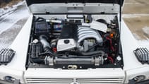 Expedition Motor Company 250GD Wolf engine bay