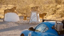 Kalmar Beyond Adventure Trans-Africa Top Gear