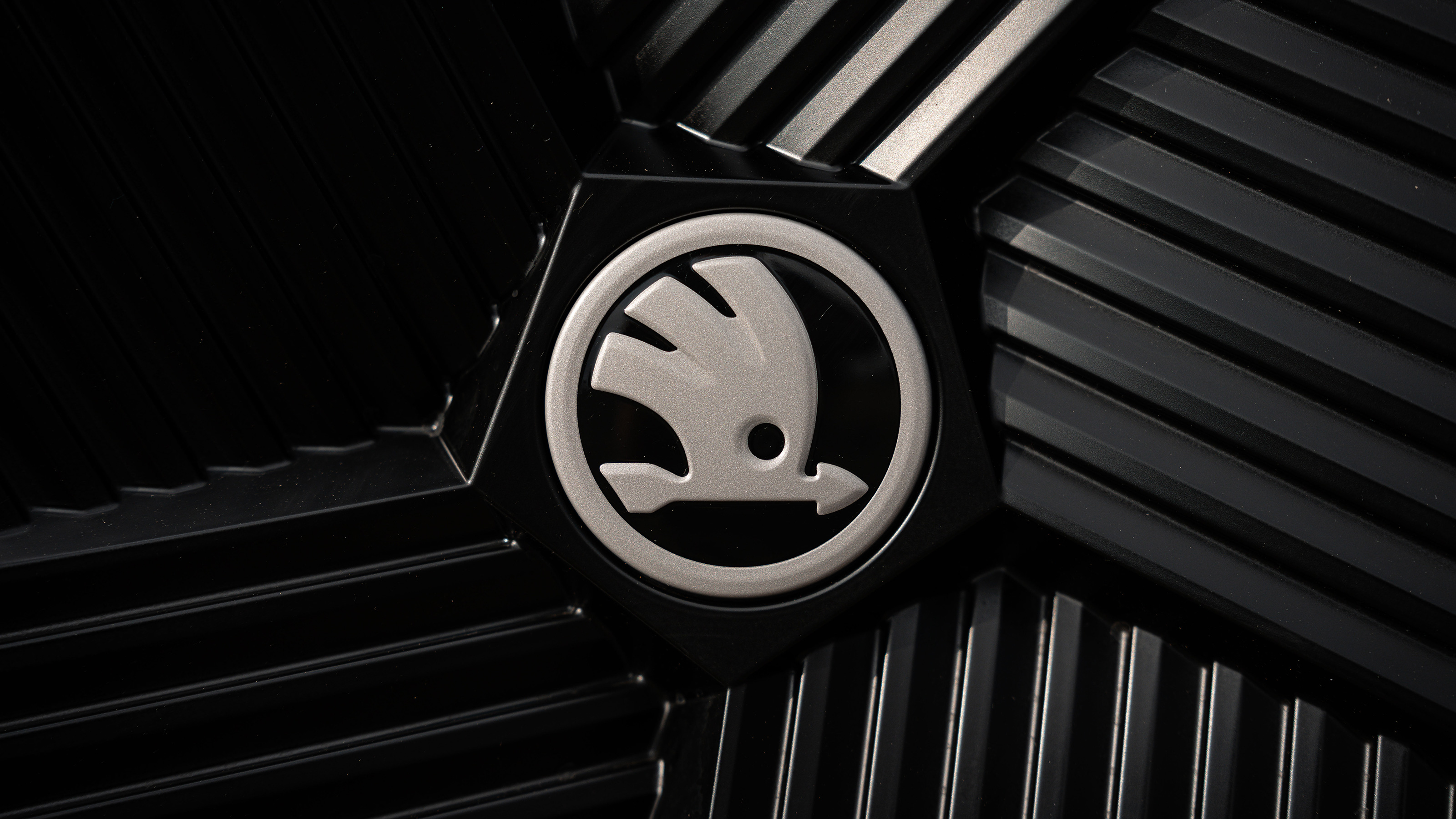 Skoda Elroq vRS badge