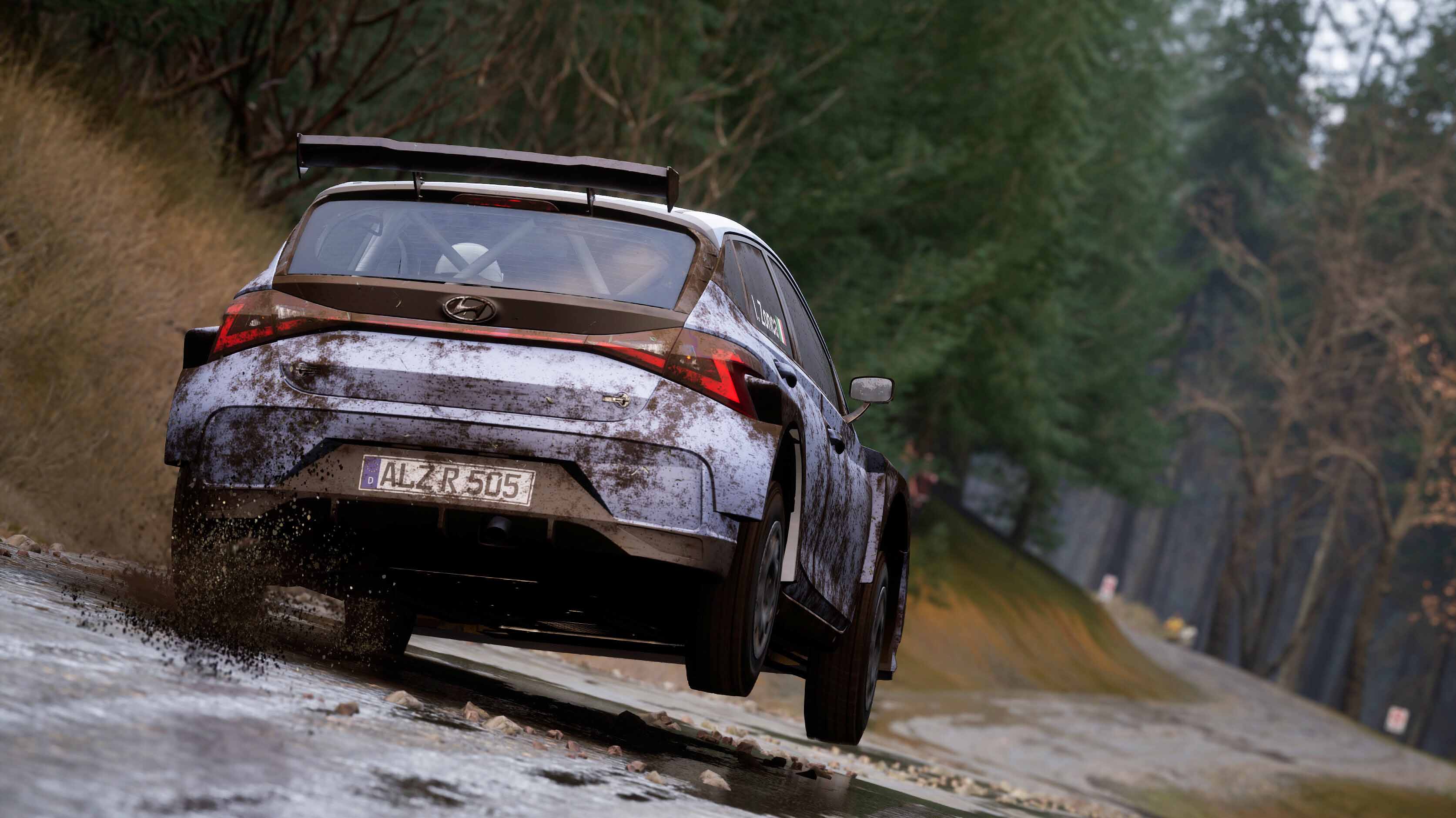 Assetto Corsa Rally