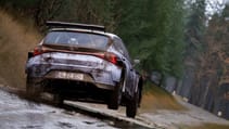Assetto Corsa Rally