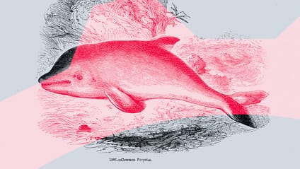 Good riddance of the year: F1’s ground effect regs