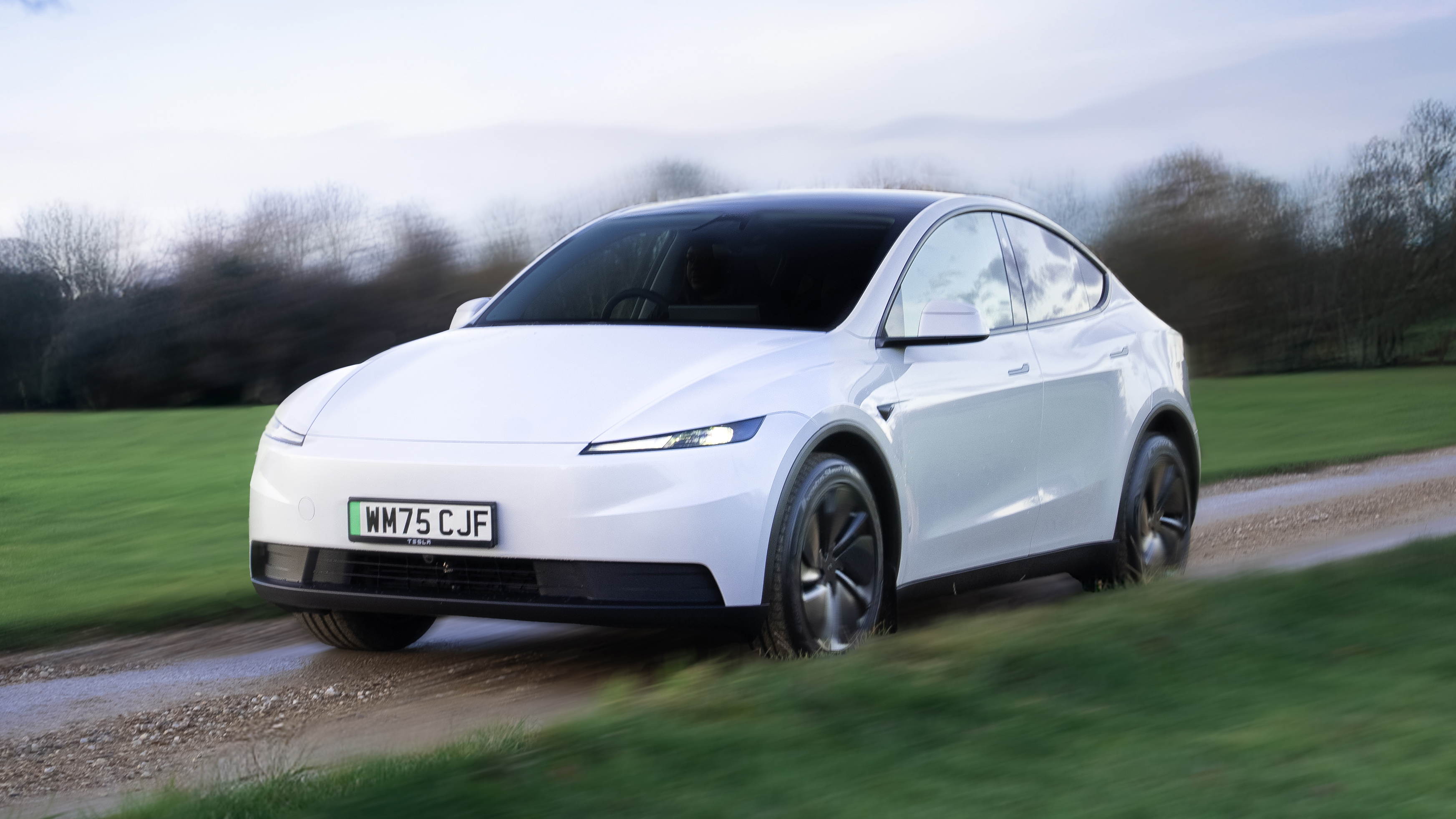 Tesla Model Y Standard Top Gear