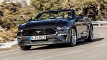 mustang_magnetic_019.jpg