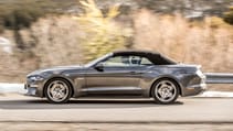 mustang_magnetic_025.jpg