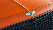 orange_flame_-_26.jpg