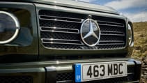 large-32813-mercedes-benzg350d.jpg