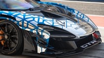 mclaren_senna_media_drive_bahrain_-_11.jpg