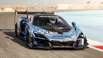 mclaren_senna_media_drive_bahrain_-_22.jpg