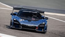 mclaren_senna_media_drive_bahrain_-_34.jpg