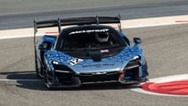 mclaren_senna_media_drive_bahrain_-_35.jpg
