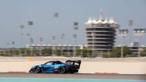 mclaren_senna_media_drive_bahrain_-_40.jpg