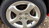 20190708_132645_resized_1.jpg